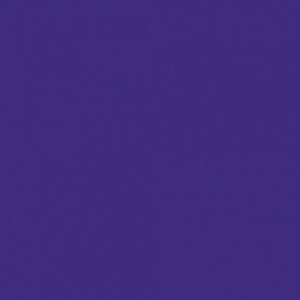 Createx Wicked Colors Violet, Gallon