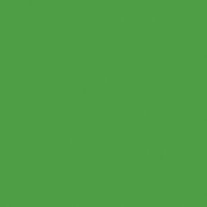 Createx Wicked Colors Apple Green, Gallon