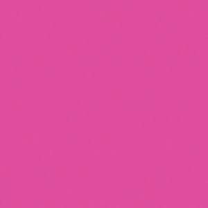 Createx Wicked Colors Fluorescent Raspberry, Gallon