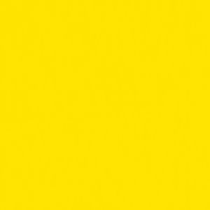 Createx Wicked Detail Colors Yellow, Gallon