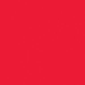 Createx Wicked Detail Colors Scarlet, Gallon