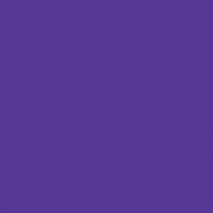 Createx Wicked Detail Colors Violet, Gallon