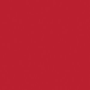 Createx Wicked Detail Colors Carmine, Gallon