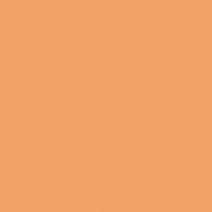 Createx Wicked Detail Colors Flesh Tone, Gallon