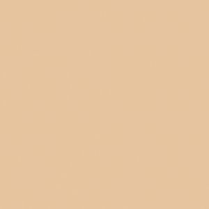 Createx Wicked Detail Colors Cory Saint Clair's Universal Fleshtone, Gallon